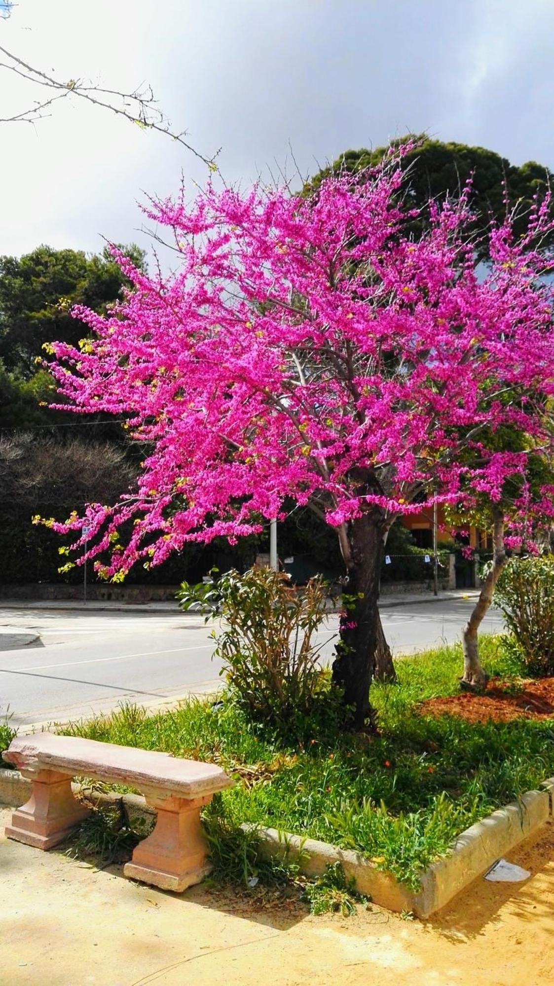 Appartamento A casa di Nonna Giò Mondello Palermo Esterno foto